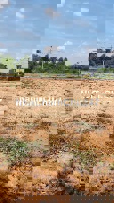 Bán đất chính chủ k qua cò 1 tỉ 648 có thương lượng