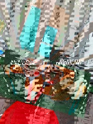 Giỏ Hàng Tara Residence Quận 8 – Căn Đẹp Giá Tốt Từ 1PN Đến 3PN!