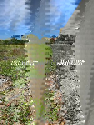 Cần bán đất Cần Giờ (chính chủ) - Còn TL