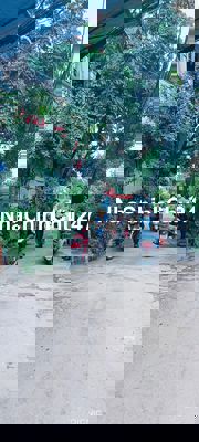 cần bán nhà_lĩnh nam_dân xây_sổ riêng_đủ đổ_3.68 tỷ