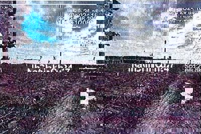 Bán ĐGTS đất tại Xã Suối Đá, huyện Dương Minh Châu, tỉnh Tây Ninh