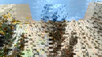 CC first home Thạnh Lộc shophouse, penhouse 1,5-1,85 tỷ