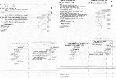 🔥 CHÍNH CHỦ CẦN BÁN ĐẤT LỚN GẦN BIỂN – XÃ LÁNG DÀI, ĐẤT ĐỎ, BÀ RỊA - V