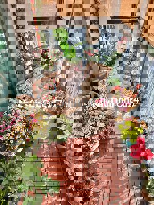 Bán căn hộ liền kế global, lakeview.Phường Bình Trưng Đông Q2. 1,9 tỷ