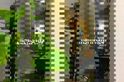 Nhà 1 trệt 2 lầu hẻm xe 2m gần chợ Tân Định, Q1 làm việc Chính chủ