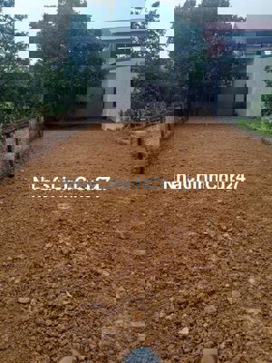 Đất thổ cư trục chính Phú cát