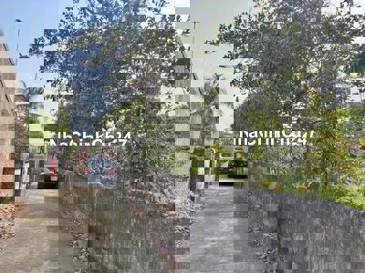 bán đất chính chủ