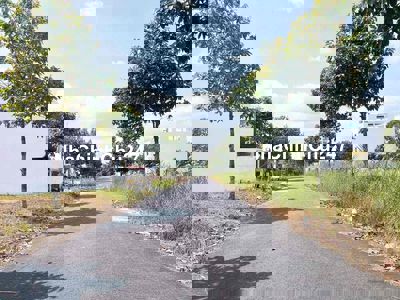 Chính chủ bán cặp nền 5C hồng loan