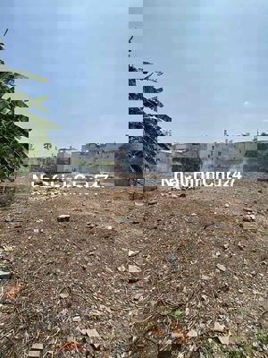 Cần bán đất hơn 1500m2, có 300 thổ cư, chính chủ