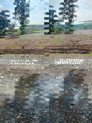 Đất chính chủ thổ cư 50m sổ hồng riêng, 5x50 , tân hưng , bình phước