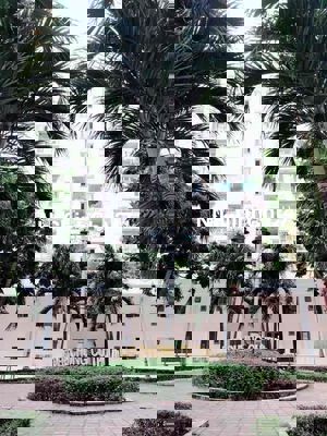 Chính chủ bán căn chung cư Thới An Q12