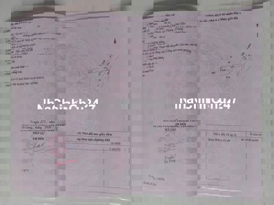 Bán đất Ruộng Chính Chủ Giá Rẻ 250Triệu/công