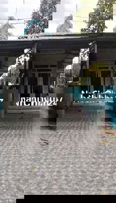 Chính Chủ Bán dãy nhà trọ mặt tiền kinh doanh đường lớn 25m