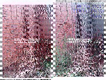 Bán đất tại TĐ 150, TBĐ 31, ĐC: p. Thới Hòa, tx. Bến Cát, Bình Dương