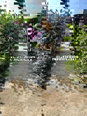 NHÀ CHÍNH CHỦ CẦN BÁN