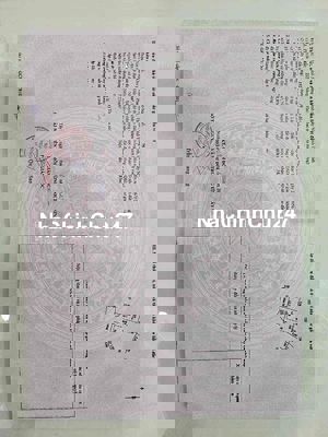 Nhà +Đất 220m2 hẻm 209 CMT8, KP3,P1, Tp Tây Ninh