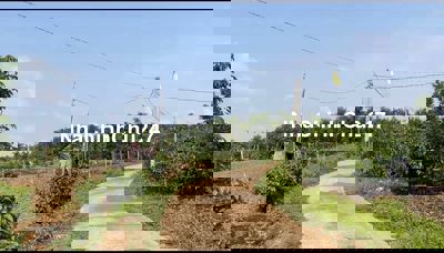 Chính chủ bán gấp 1,2 hecta cách QL29 2,5km đường xe hơi giá 1,6 tỷ