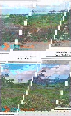 Bán ĐGTS đất tại TĐ 558, TBĐ 22, xã Lộc An, huyện Bảo Lâm, Lâm Đồng