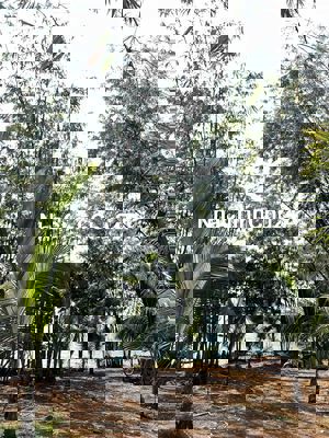 Chính Chủ Bán Gấp Lô Đất Siêu Phẩm Giá Rẻ Chưa Tới 600tr gần Hồ Trị An