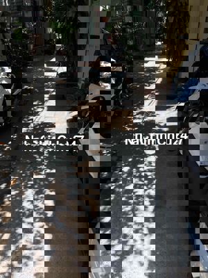 NHÀ HẺM ĐƯỜNG NGUYỂN XÍ NGANG 3M50 DÀI 8 M 2 LẦu 3 PHÒNG 2 TOLET