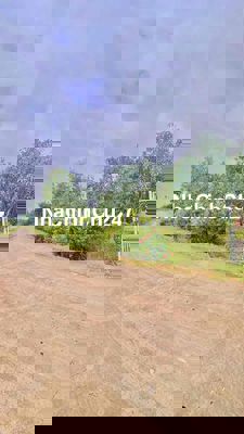 Tôi Chính chủ cần bán Gấp!vườn Xoài Sát Sông!nhờ ae hỗ trợ