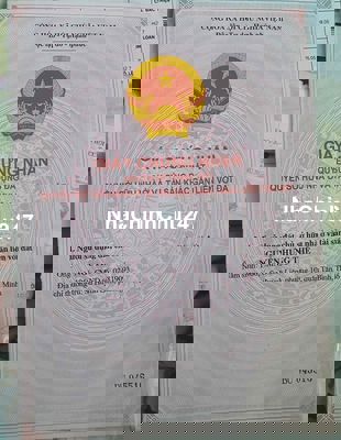 Đất 6500m2 Bến Tre chính chủ