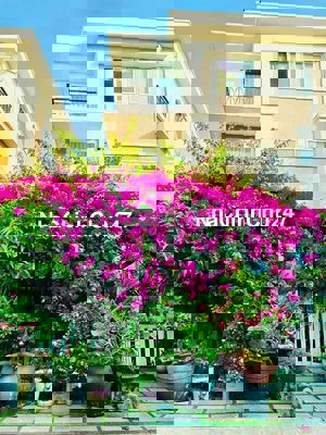 Cần Bán Nhà Phố Sang Trọng - Đầy Tầm Huyết