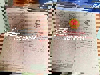 Cần bán lô đất 150m2 có 100 ODT còn 50 CLN. Giá 1,25 tỷ TL chính chủ