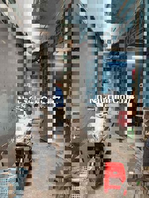 Hẻm 15 Nguyễn Du, P7, ngay Trường THCS Gò vấp