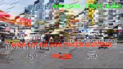 Nhà CX Nhị Thiên Đường, Bùi M Trực P5, Q8, 1trệt, 1lầu, N4m x D14m