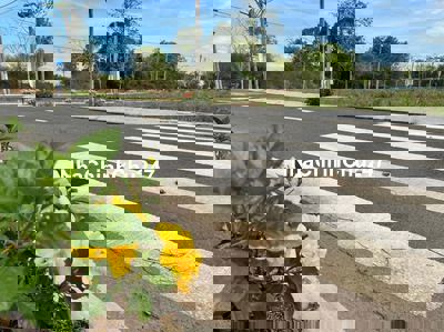 Chính chủ bán gấp nền đất thổ cư KDC Long Phước Long Thành 1,85 tỷ