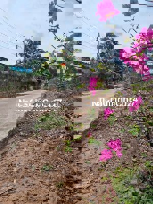 chủ về quê cần bán gấp đất minh hưng