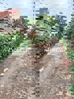 CHÍNH CHỦ BÁN NHÀ ĐẤT Ở QUÊ – VỊ TRÍ ĐẮC ĐỊA GẦN CẦU MỚI NỐI SANG HÀ N