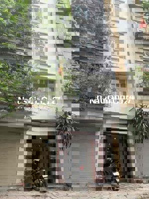 Bán Nhà Phạm Ngọc Thạch-36/40mx6 tầng-Ô tô tránh nhau - thoáng