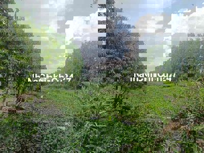 chủ gửi lo đất mặt tiền sông dt 1300