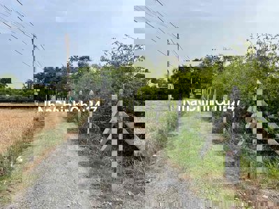 Đất Bình Ân - Nguyễn Thìn vào 20m, cây lâu năm có 200m2 thổ, đường xe