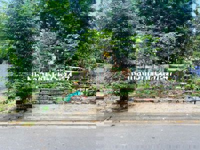 Chủ cần bán siêu phẩm đường 5,5m gần cầu Cẩm Lệ , Giá RẺ