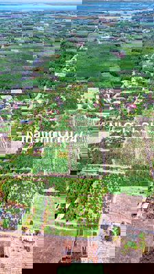 Long Vĩnh- Châu Thành-TN ngộp giảm còn 229tr 150m2 full TC đủ tiện ích