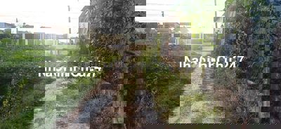 Đất gần xã và chợ long hải, chỉ 399 triệu. Thổ cư hết đất