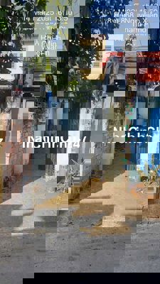 Bán nhà nguyên căn 48m2 chính chủ đường Nguyễn Xiển