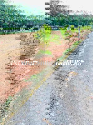 Chính Chủ cần bán đất Tân Định Thổ Cư giá 680tr