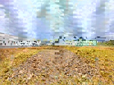 250m2 đất thổ cư đường xe cont 833, Tân Trụ, chỉ 1.55 tỷ