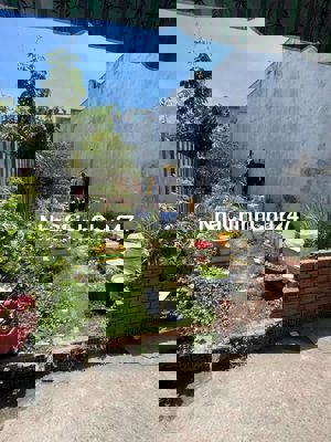 Lô đất SHR giảm còn 2TỶ 600tr đg xe hơi thông 5*16m Gần Q12