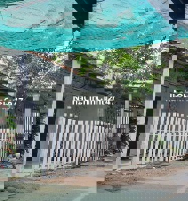 Chính chủ bán đất Nguyễn Hữu Trí - Long An