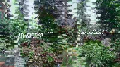 BIỆT THỰ VƯỜN LÀI AN PHÚ ĐÔNG QUẬN 12 405m FULL THỔ CHỈ 51TR/1M.