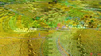 Chính chủ bán 700m2 đất mặt đường Vân Hòa, Khoang Xanh Suối Tiên