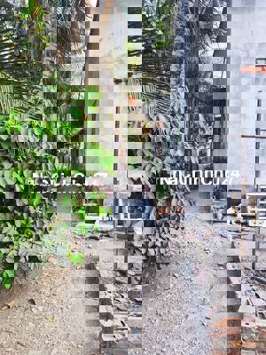 🆘🆘 307m2 ĐẤT THỔ CƯ HẺM XE MÁY GIÁ TỐT XÃ LÊ MINH XUÂN