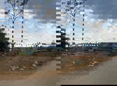 BÁN ĐẤT BẢN ĐÚC - CHIỀNG MUNG - TP. Sơn La