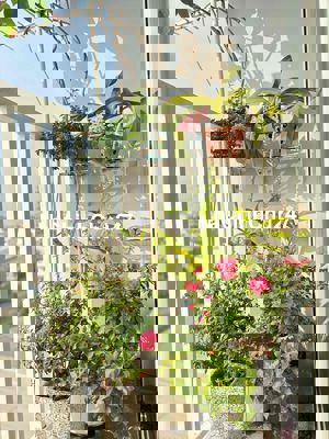 Căn hộ Tara Residence 2PN – Chính chủ cần bán nhanh , Xem nhà 24/7