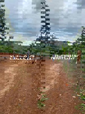 Chính chủ cần ra đi 2 lô đất đẹp